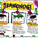 Klasa 6. Biologia. Skorupiaki (karta pracy kolorowa)