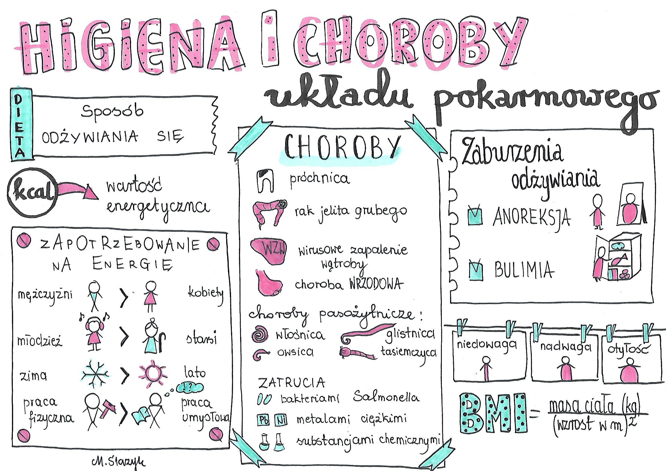 Higiena I Choroby Układu Wydalniczego Klasa 7. Biologia. Higiena i choroby układu pokarmowego • Złotynauczyciel