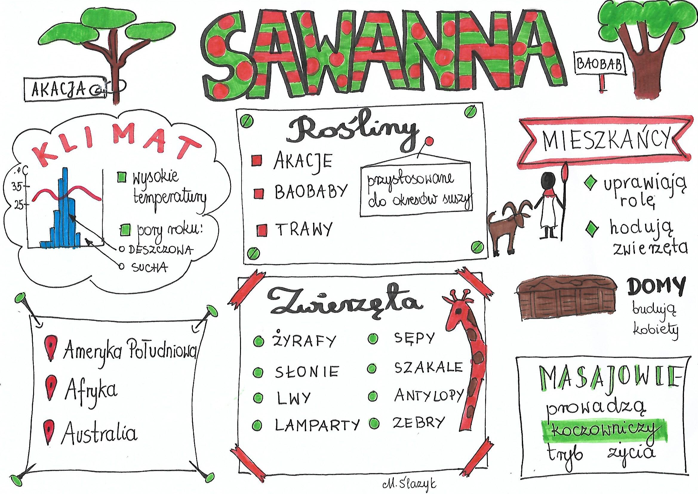 Lasy Równikowe Sawanny Pustynie Sprawdzian Sawanna (3 karty pracy) • Złotynauczyciel