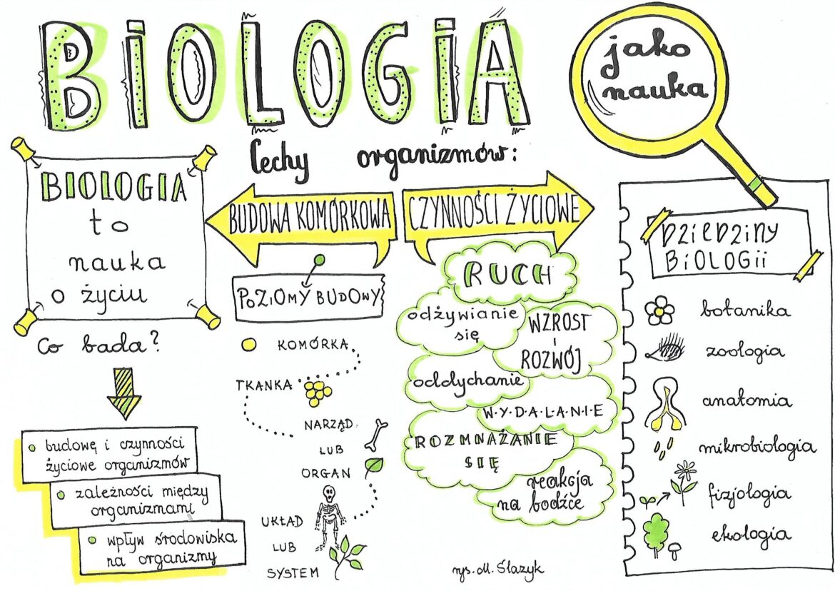 Klasa 5. Biologia. Biologia Jako Nauka • Złoty Nauczyciel