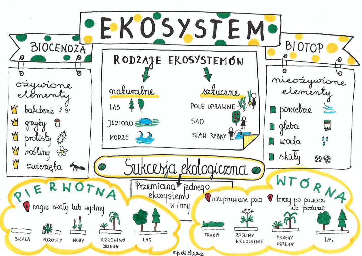 Klasa 8. Biologia. Ekosystem • Złoty Nauczyciel