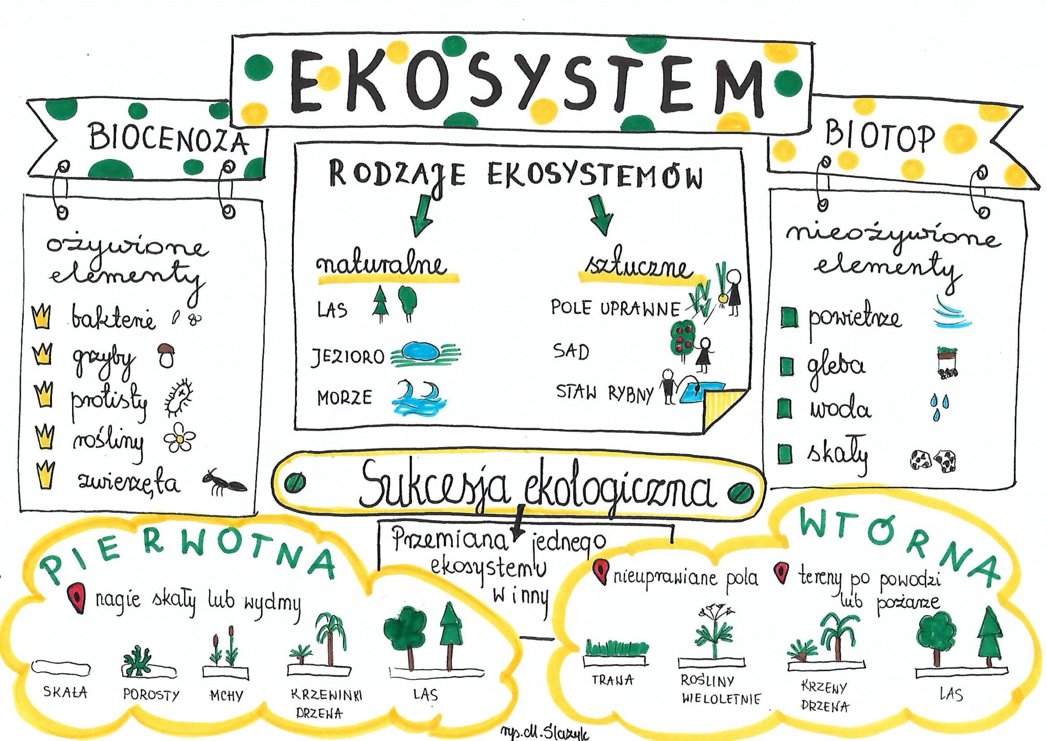 Klasy 4 8 • Strona 686 Z 728 • Złotynauczyciel Kup I Sprzedaj Materiały Edukacyjne 4928