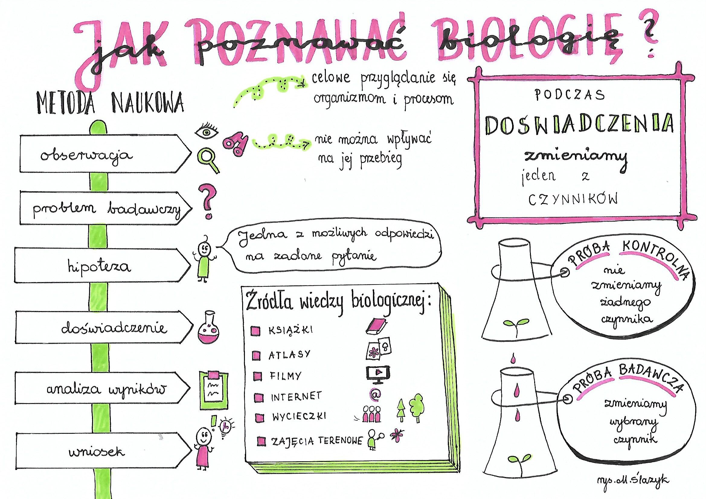 Jak Poznawać Biologię Klasa 5 Klasa 5. Biologia. Jak poznawać biologię. • Złotynauczyciel