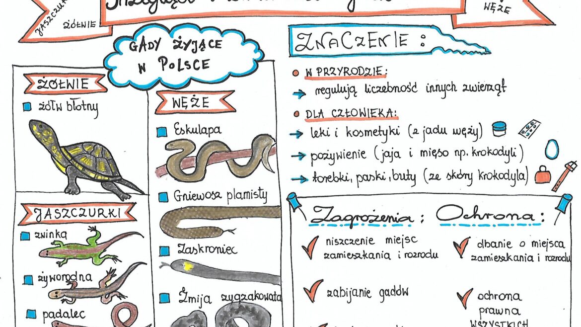 Klasa 6. Biologia. Przegląd I Znaczenie Gadów • Złoty Nauczyciel