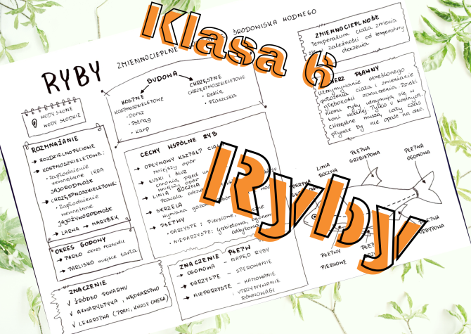 Klasa 6. Biologia. Ryby • Złoty Nauczyciel