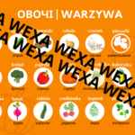 Zabawki po polsku/ іграшки польською мовою
